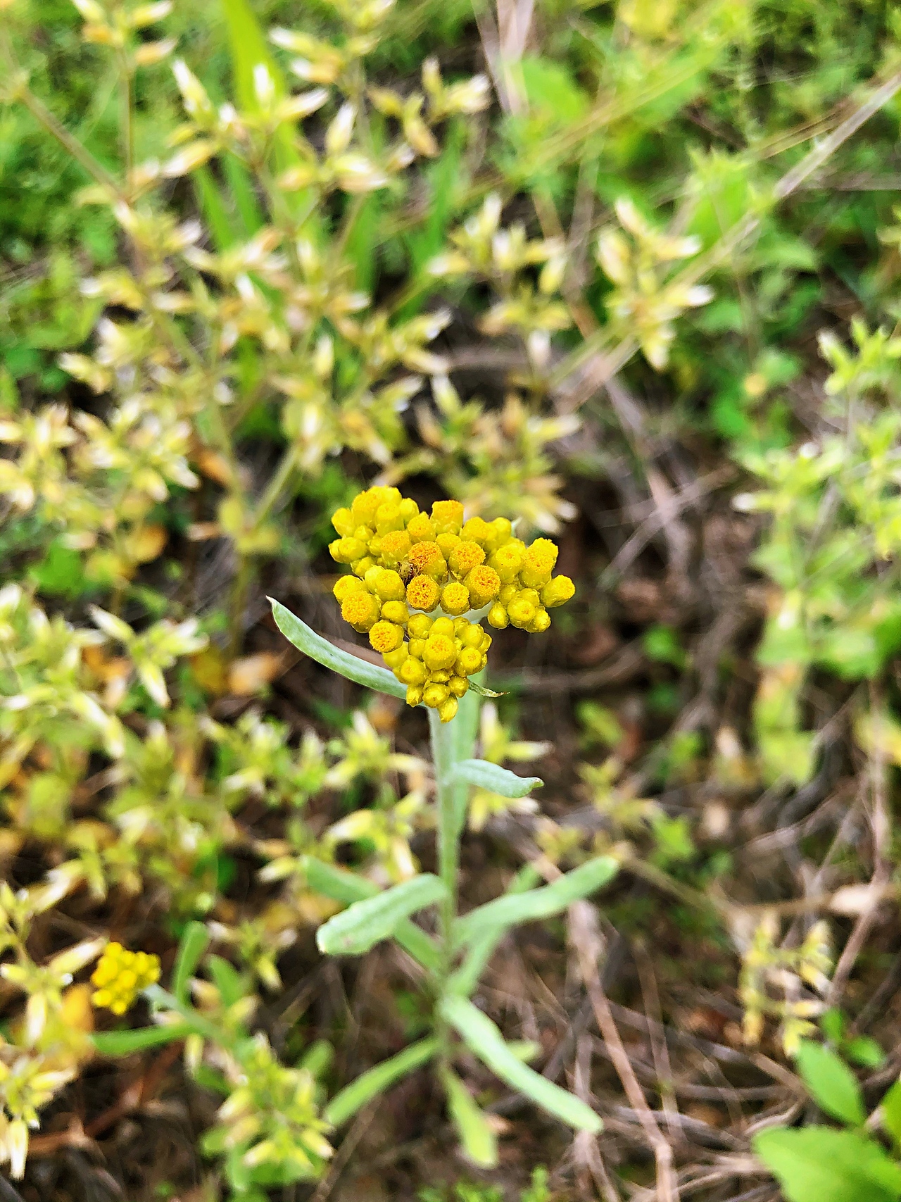 清明节乡下扫墓（图ZMjAzOTM0MTgw） - 风光摄影 - 站酷设计师Vinci153原创素材 - 站酷ZCOOL