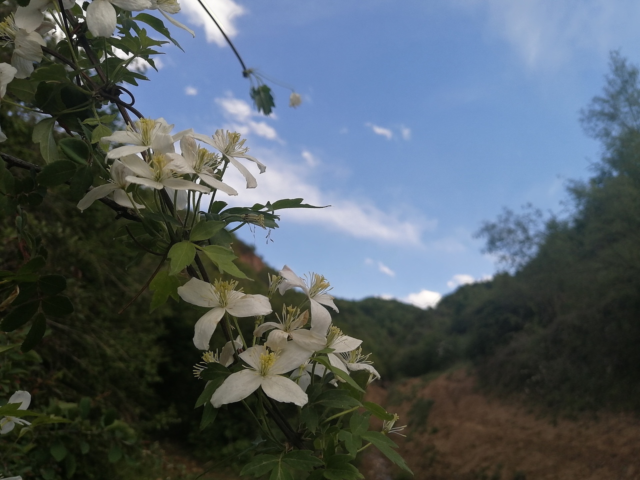 神奇的大自然的产物