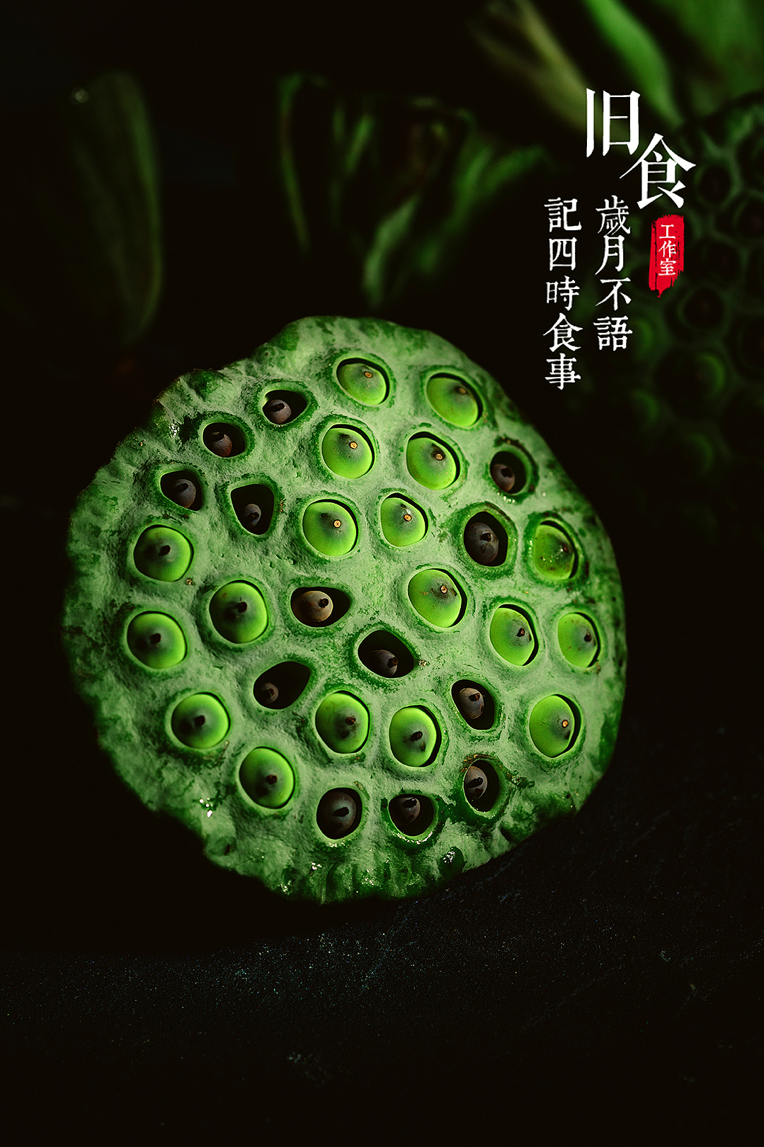 荷花与莲子（图ZMjE1MTA3Njg0） - 产品摄影 - 站酷设计师旧食原创素材 - 站酷ZCOOL