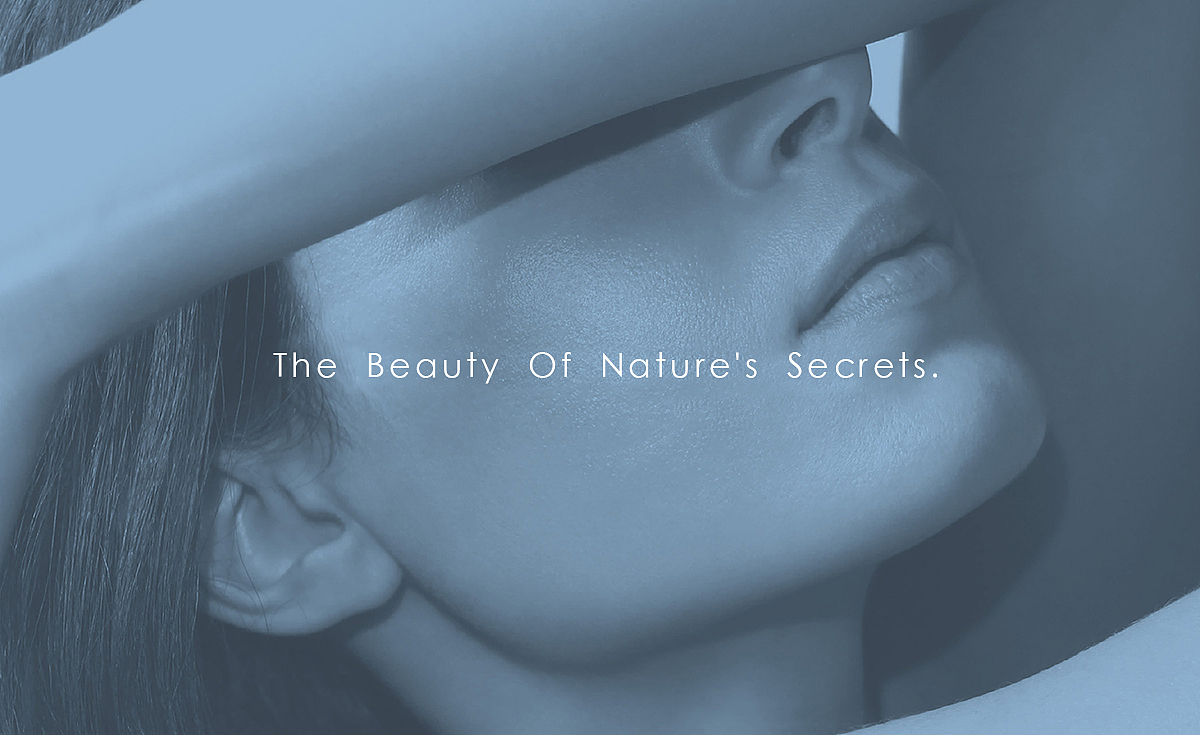 WHITE SWAN — 品牌全案设计(贰贰)