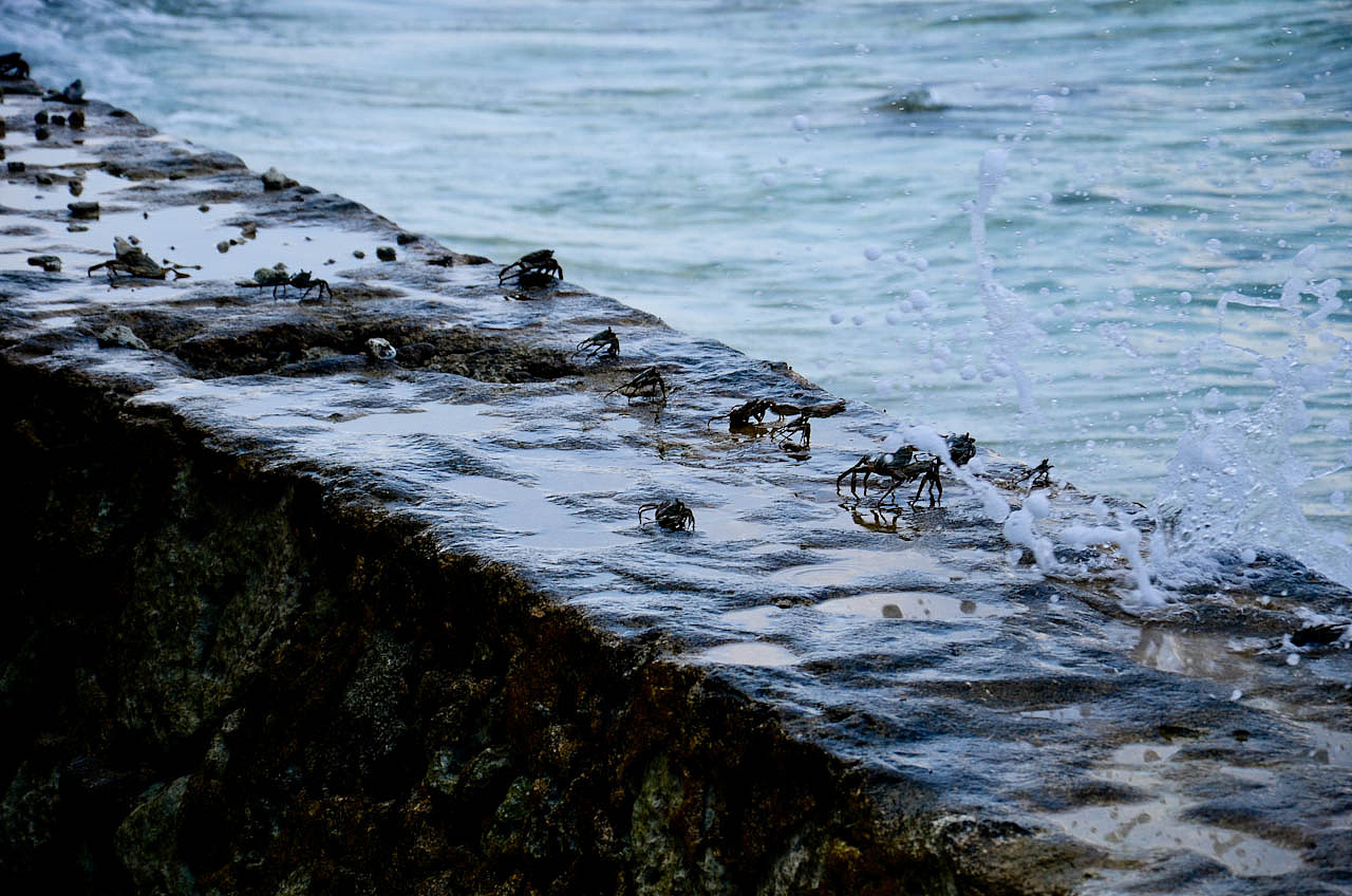 马尔代夫游记 - 梦幻岛 - 四晚六天（图ZNTM5Nzg1Mg==） - 风光摄影 - 站酷设计师blue_hermit原创素材 - 站酷ZCOOL
