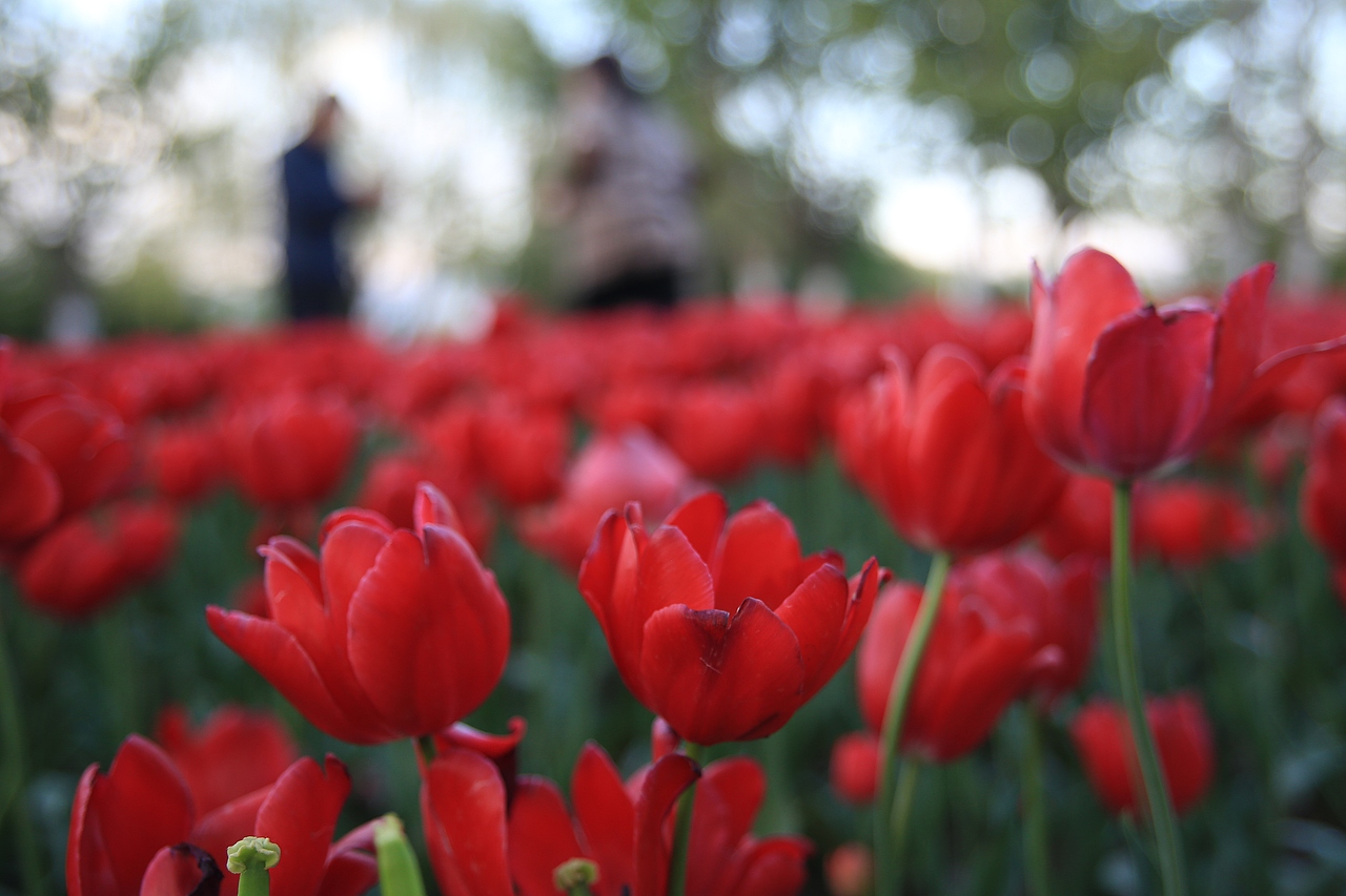 【西昌王老师摄影培训学校】日常拍摄花絮