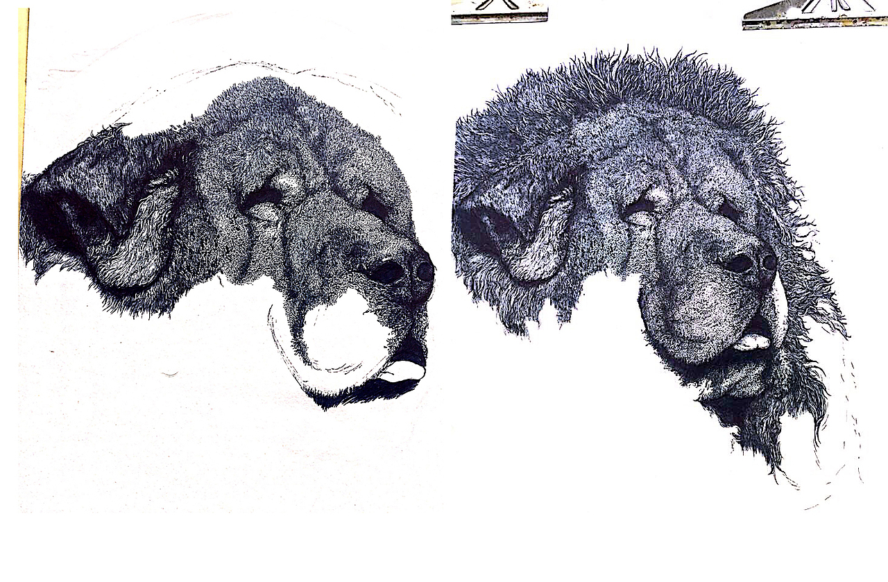 大一插画（图ZMTcwMDA1NjYw） - 创作习作 - 站酷设计师大丌原创素材 - 站酷ZCOOL