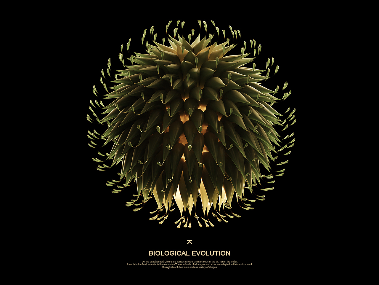 《生物进化Evolution》（图ZMTgwNjgwNDk2） - 人物/生物 - 站酷设计师琉璃小姐姐原创素材 - 站酷ZCOOL