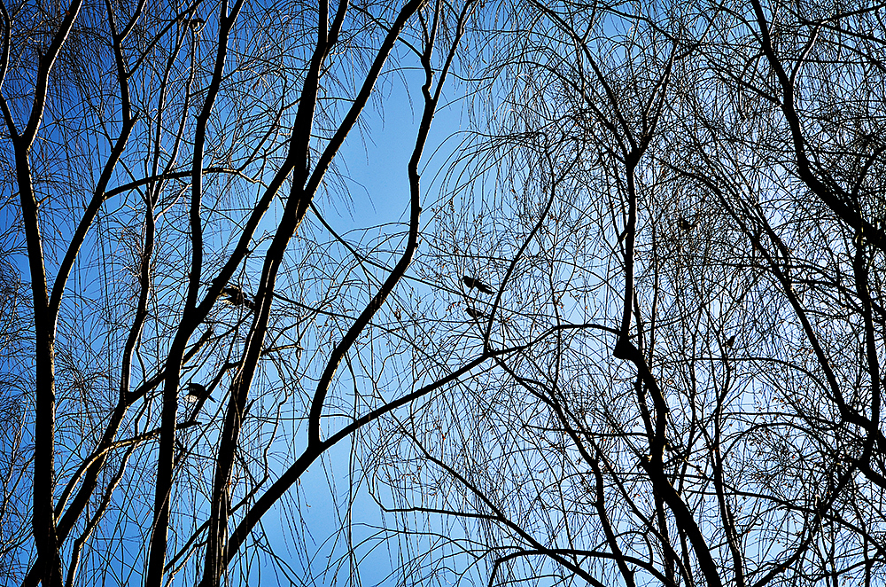 北大未名集团留影II