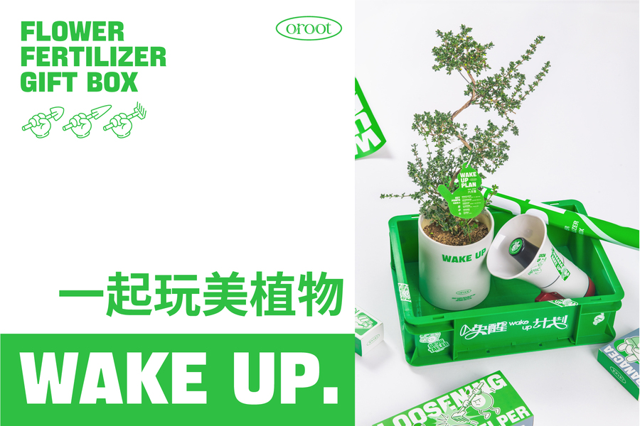节日包装|礼盒|品牌包装
