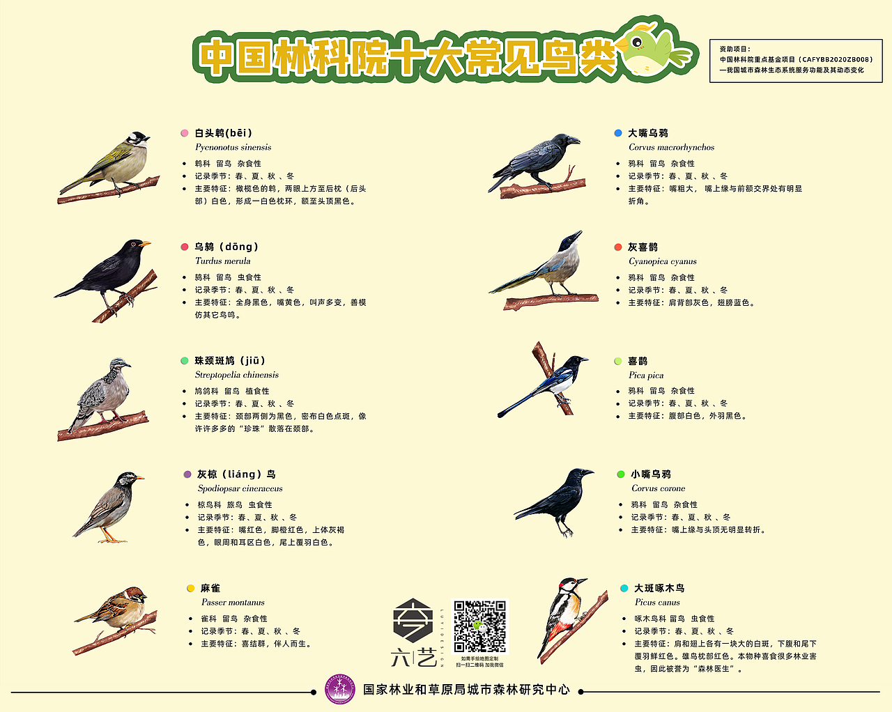 中国林科院春夏秋冬四季鸟类分布导览图集团手绘地图
