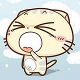 Designer_Shine的头像