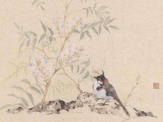 2018变一个中草药花园吧~