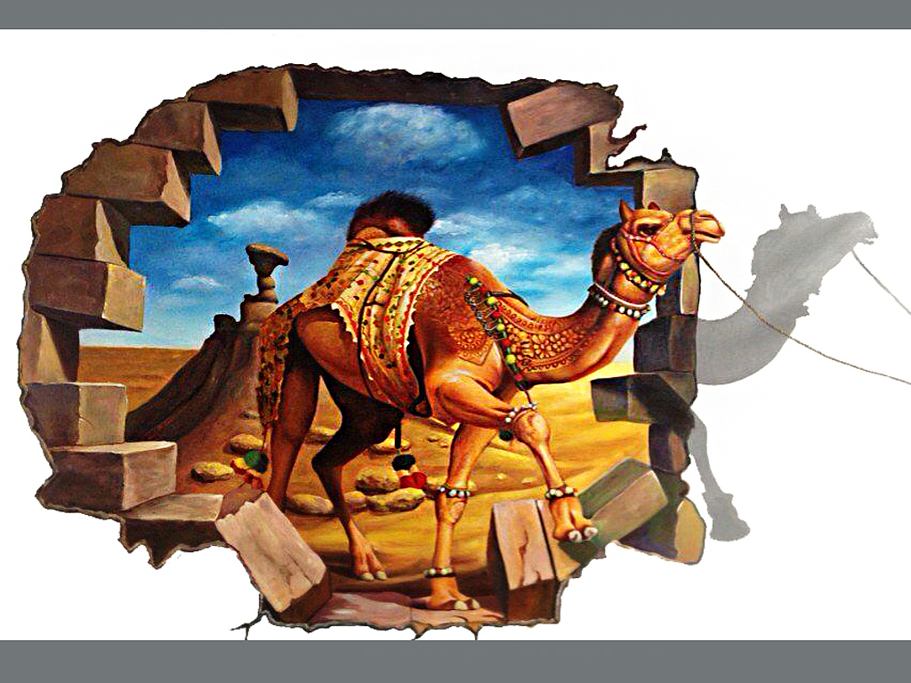 亳州南半球3d立体画墙绘彩绘手绘墙画案例|插画|新锐潮流插画|z