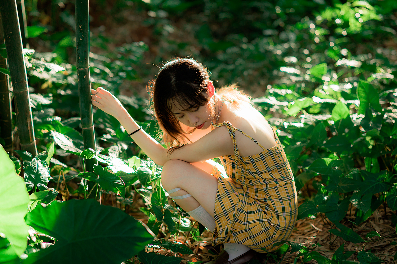 我的2024年度摄影作品总结