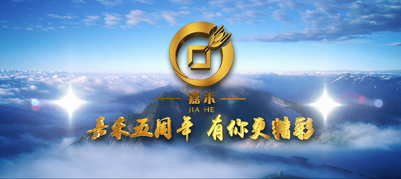 平安保险-周年发展专题片（图ZMTY2NzE2Njcy） - 其他影视 - 站酷设计师金将令原创素材 - 站酷ZCOOL