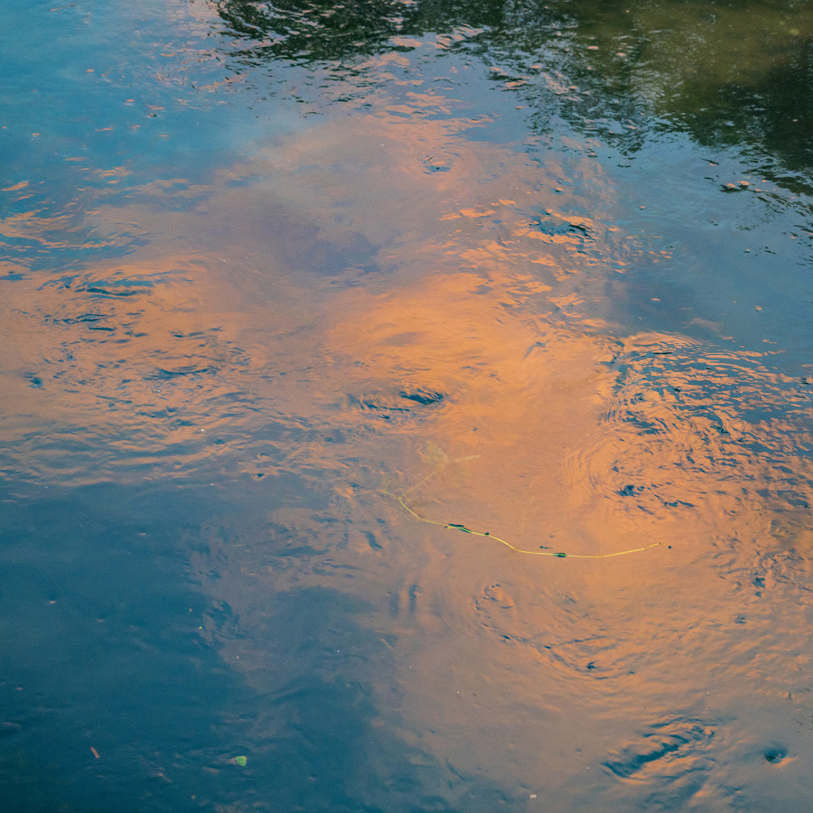 Paper_Lan的个人主页（封面预览） - 主页封面设置 - 站酷设计师Paper_Lan原创素材 - 站酷ZCOOL