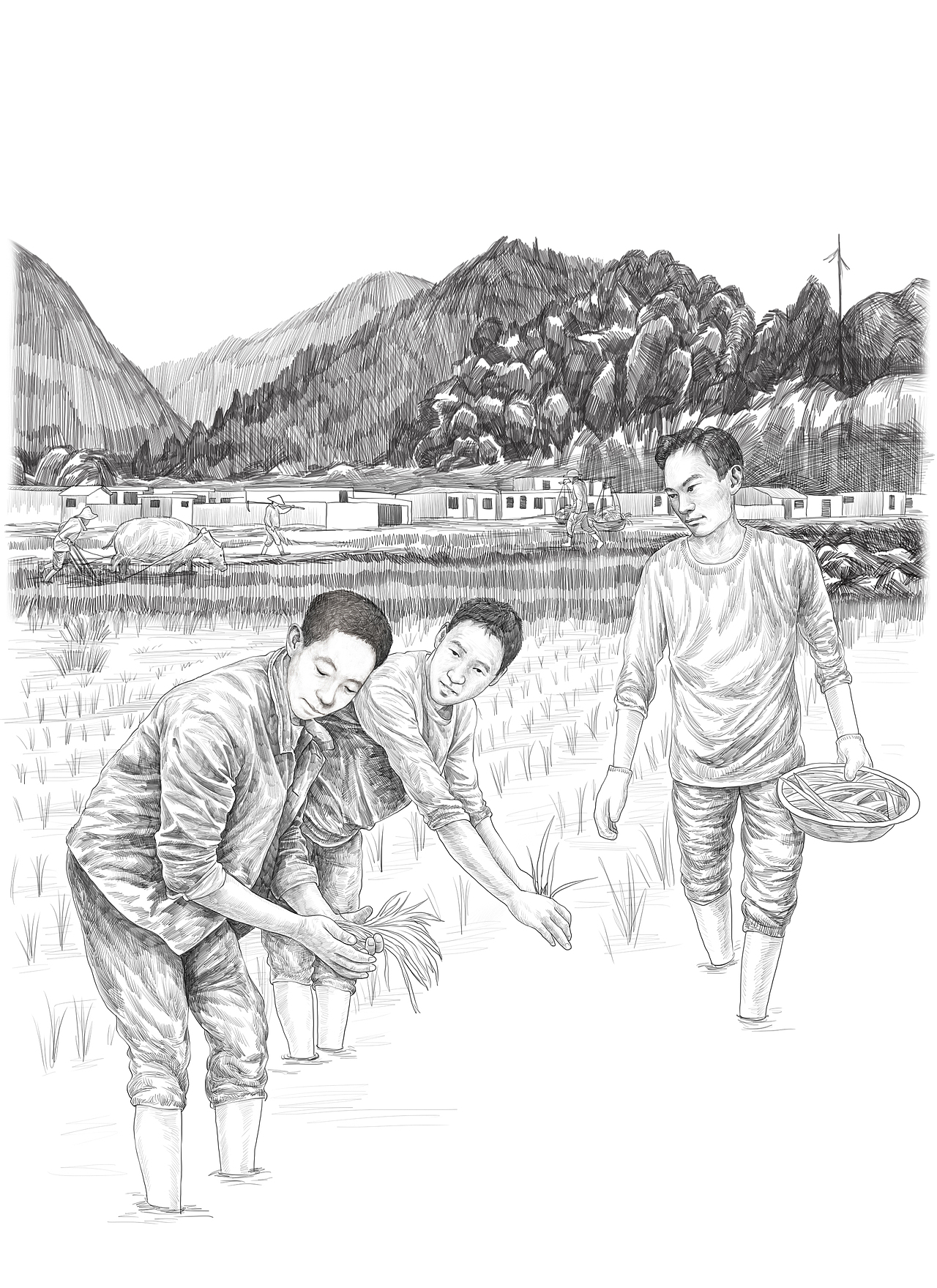 杂交水稻之父袁隆平插画