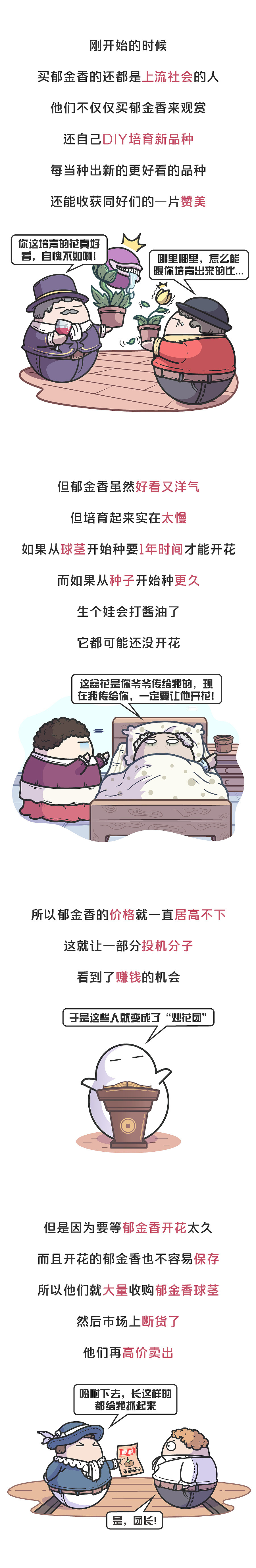 美丽的荷兰郁金香，曾让无数人从一夜暴富到倾家荡产（图ZMTgwMDU3ODQ0） - 其他动漫 - 站酷设计师赛雷话金原创素材 - 站酷ZCOOL