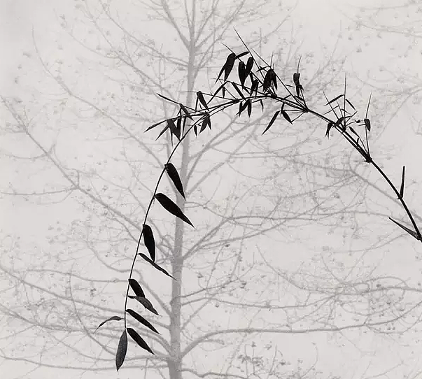 谈中国意境与珠宝的结合