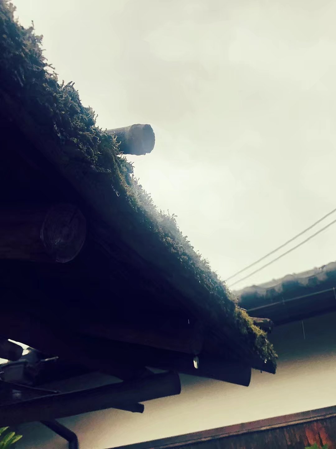 日本京都一周游