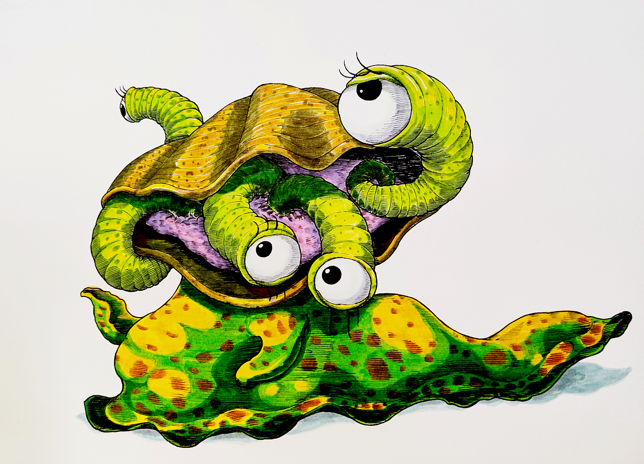 海鞘马克笔上色