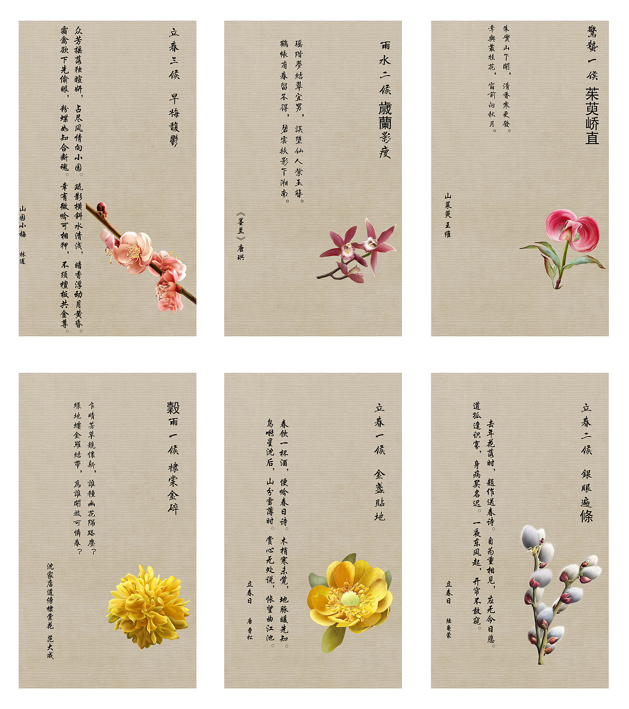 花开未觉岁月深电子图书