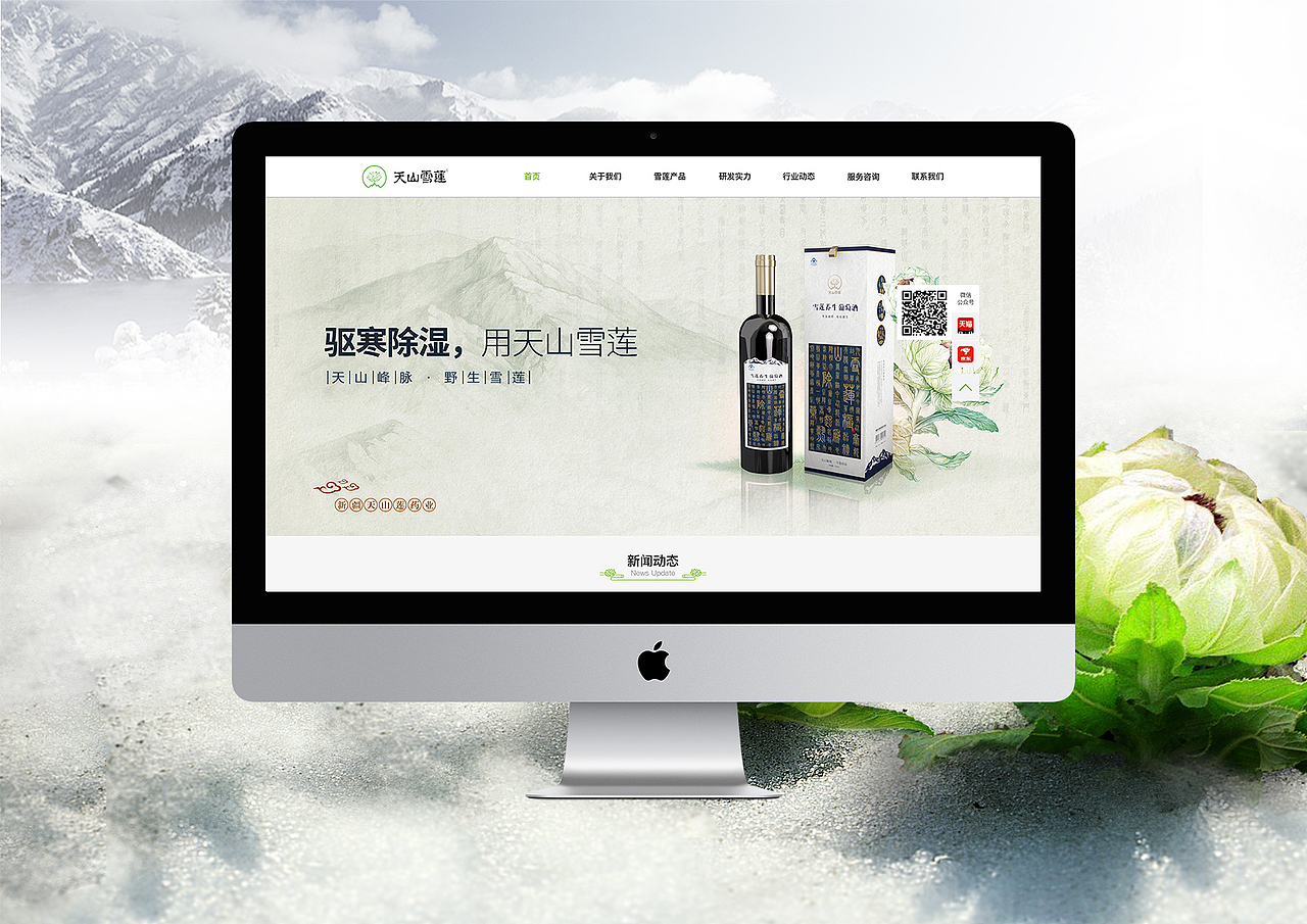 新疆天山莲药业官网（图ZMjEwMDMxMDM2） - 企业官网 - 站酷设计师小虎牙没虎牙原创素材 - 站酷ZCOOL