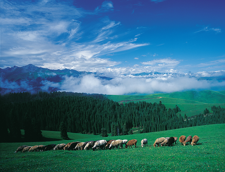 与众不同的新疆