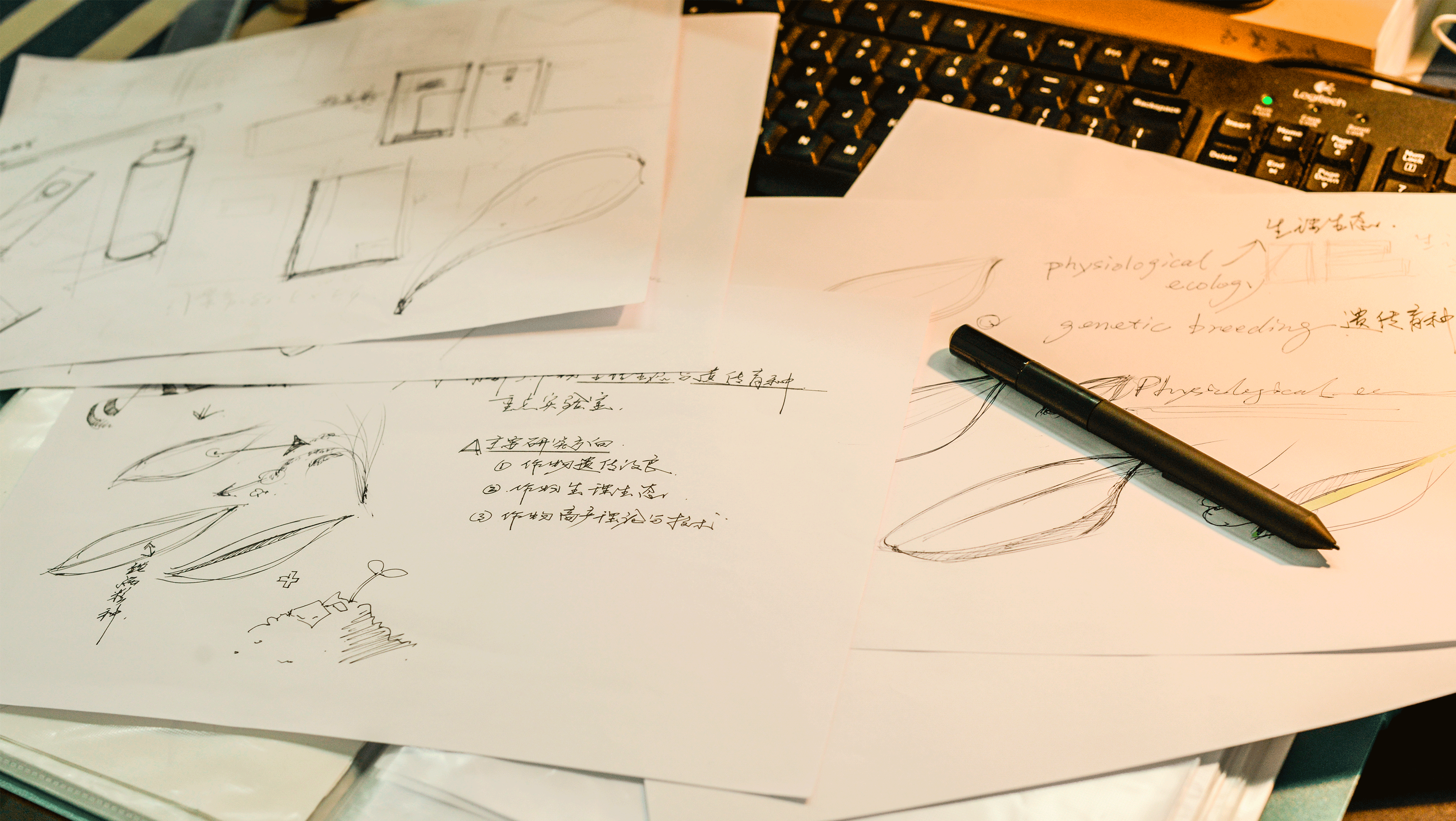 超级稻视觉系统