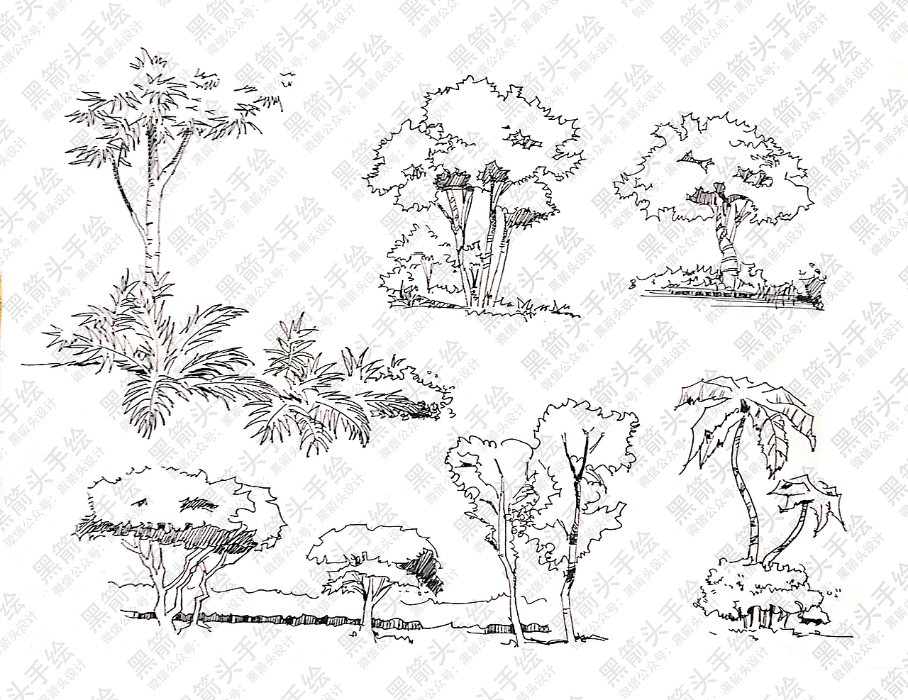武汉黑箭头手绘、环艺考研、环艺手绘、武汉黑箭头设计
