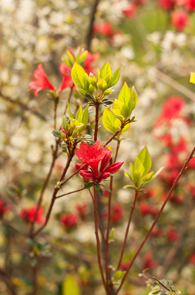 2014.04.05-04.07 婺源