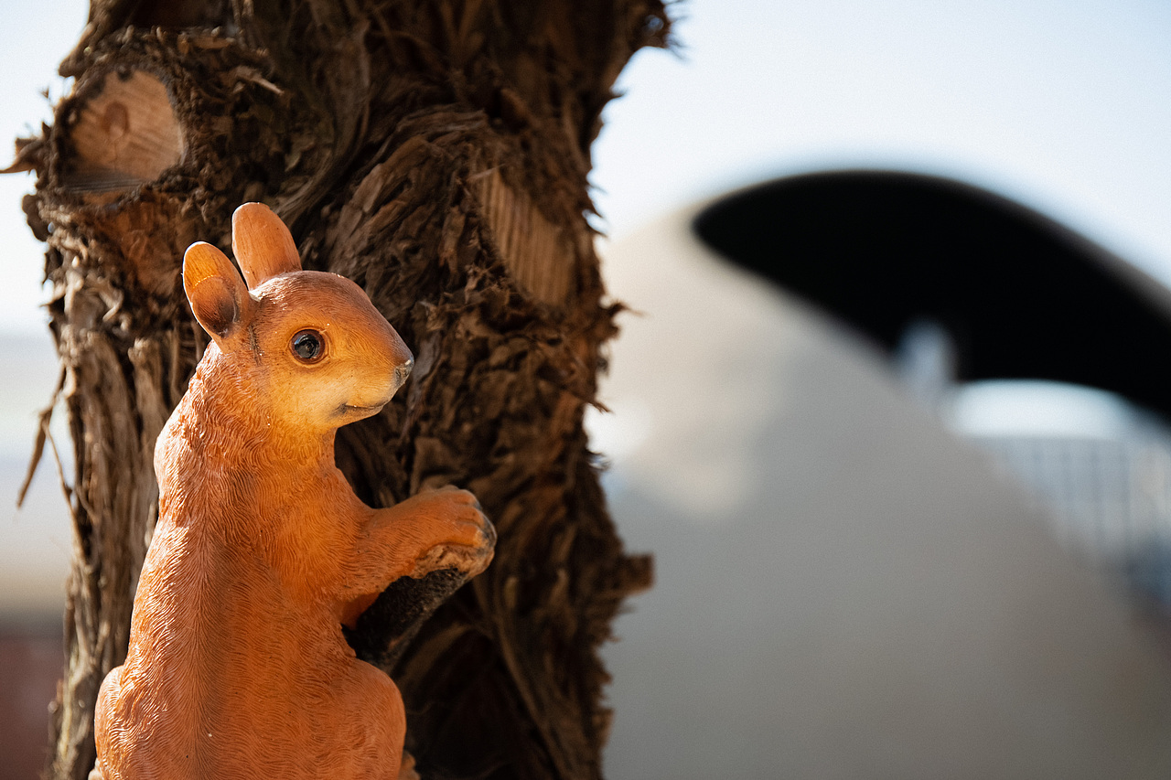 Haxxy 暖亲家庭成长中心_四季