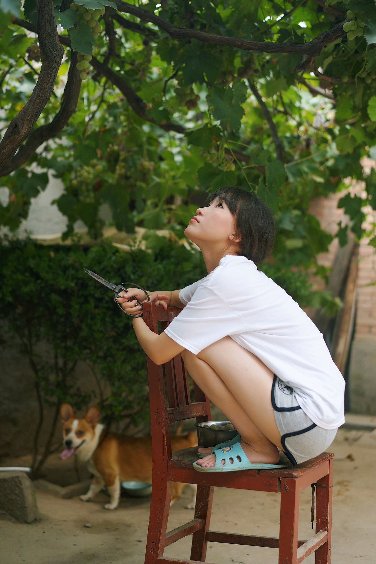 little forest/小森林（图ZMTM4NjY5MDYw） - 人像摄影 - 站酷设计师给给Eru原创素材 - 站酷ZCOOL