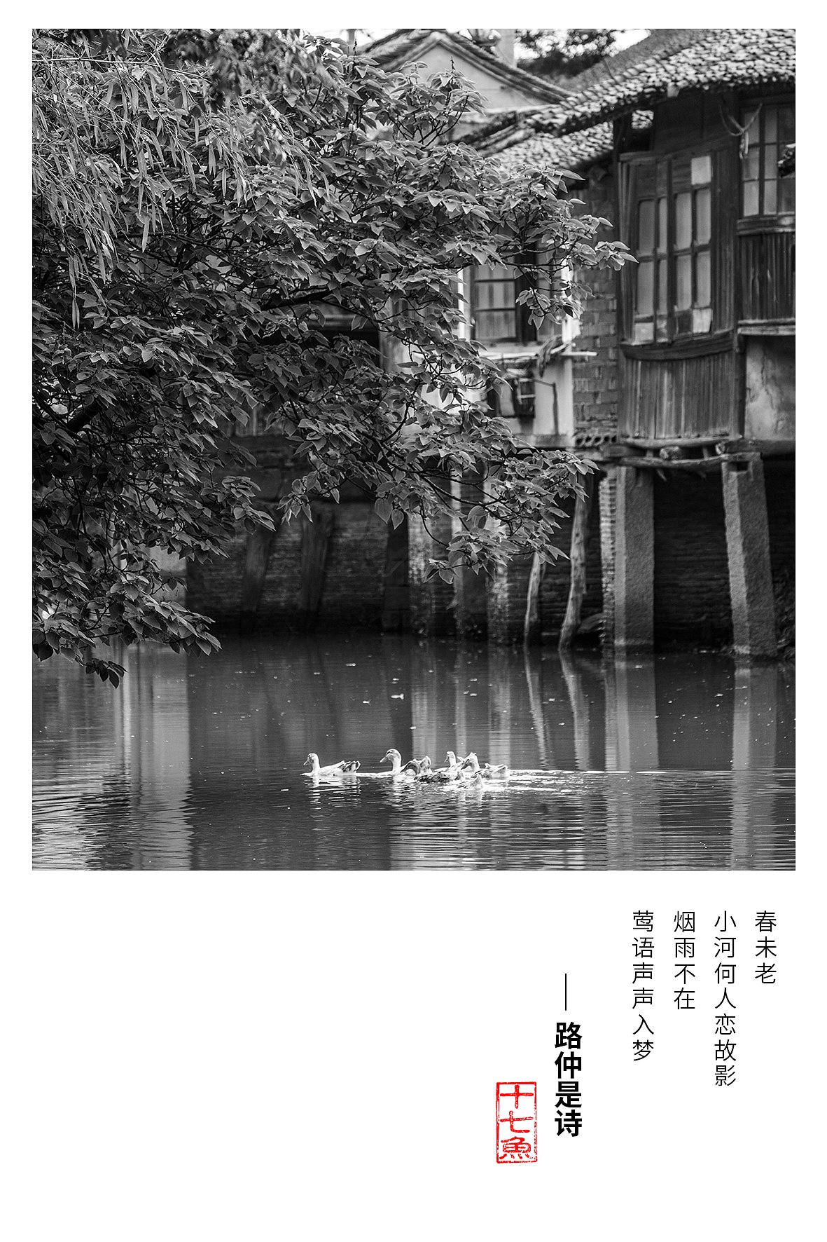 路仲是诗（图ZMTc5OTMzMDEy） - 人文/纪实摄影 - 站酷设计师鱼蜀黍原创素材 - 站酷ZCOOL