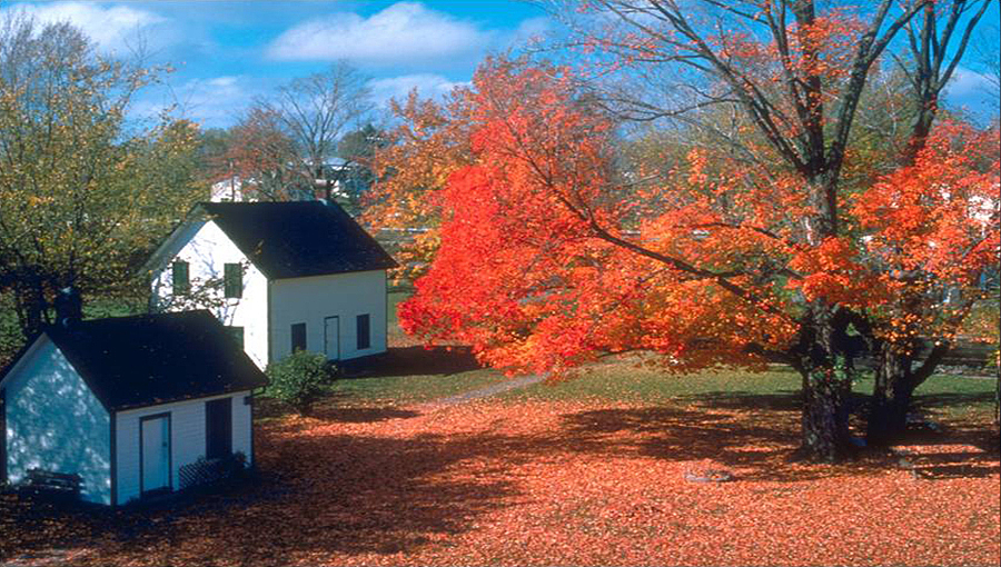 在消费者心目中,面包和西餐几乎可以划一个等号,但它似乎又已经脱离了“西方独有的影子”,成了一个世界通行的食品