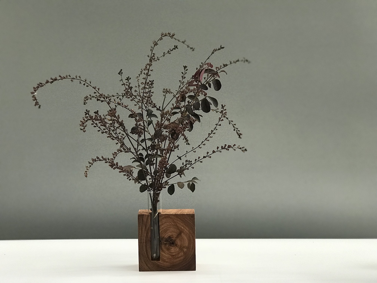 花器 Floral organ（图ZOTg0NTgwNzI=） - 实验艺术 - 站酷设计师谈木集原创素材 - 站酷ZCOOL