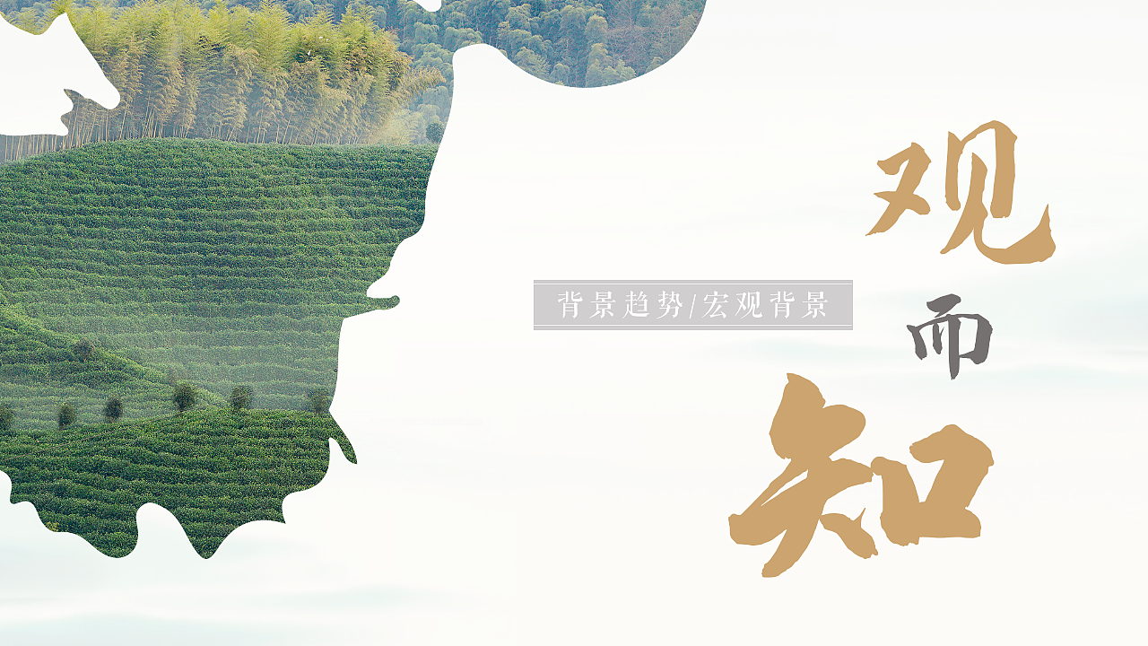 新媒体提案PPT（图ZMjg2OTU5OTYw） - PPT/Keynote - 站酷设计师lolshine原创素材 - 站酷ZCOOL
