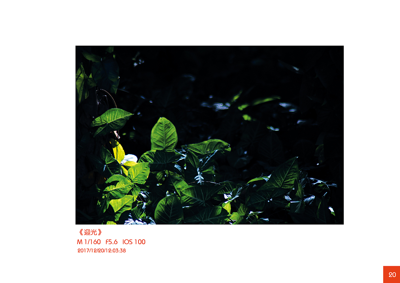 摄影课作业集（图ZMzE0Njg4Mzg4） - 风光摄影 - 站酷设计师Maxyang1900原创素材 - 站酷ZCOOL