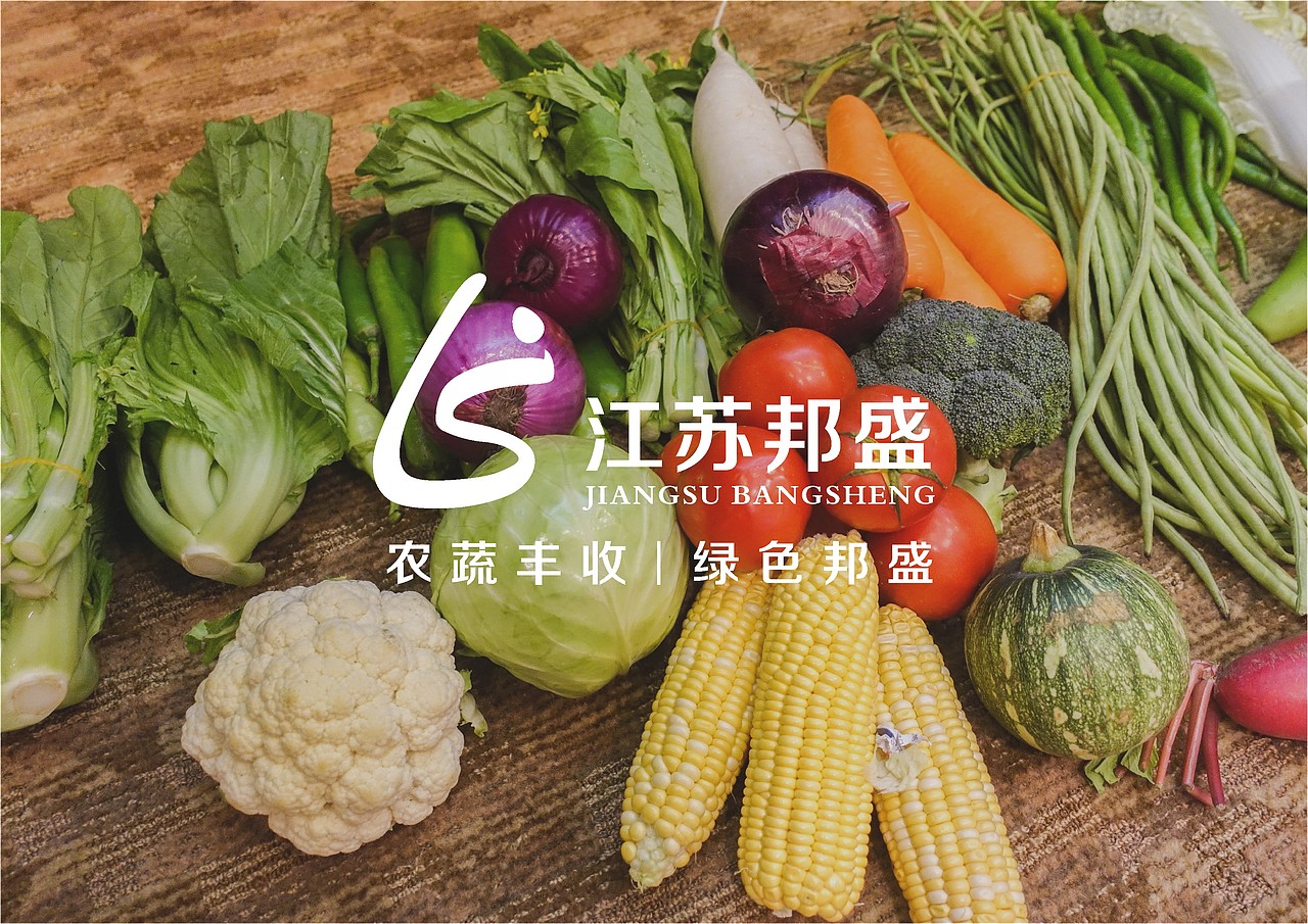 江苏邦盛 - 视觉提案（图ZNjMyODMyNzI=） - Logo - 站酷设计师张笠原创素材 - 站酷ZCOOL
