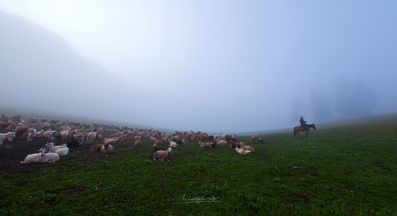 阿勒泰托勒海特夏牧场
