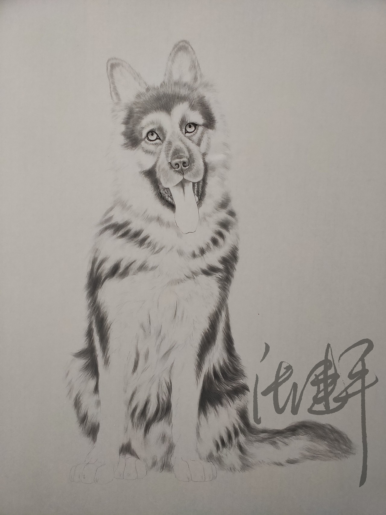 95cmx150cm生宣工笔狼狼狗,寓意石来运转.