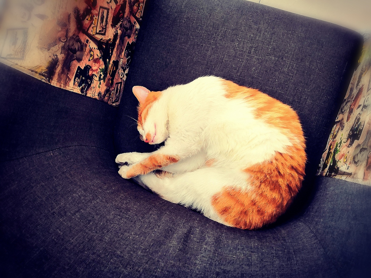 camera Raw 稍微处理一下。