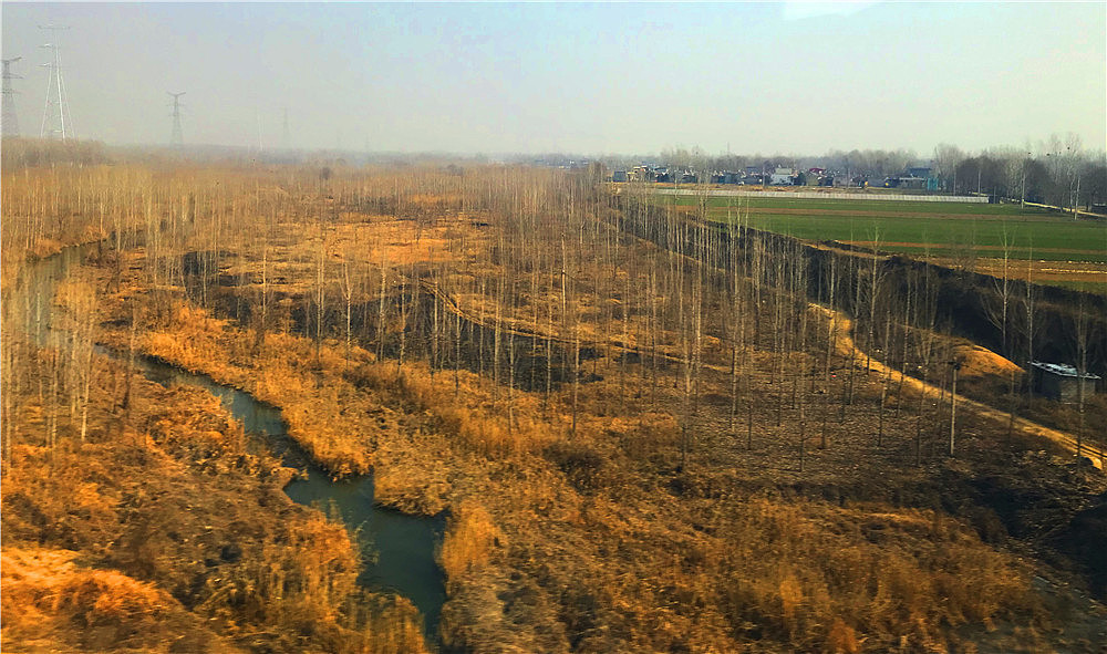 刘勇良手机纪实摄影:泰山脚下的风景