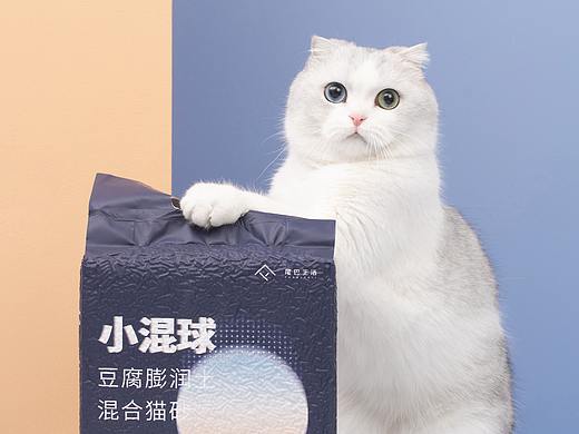 【摄影】小混球猫砂——猫の厕所用物