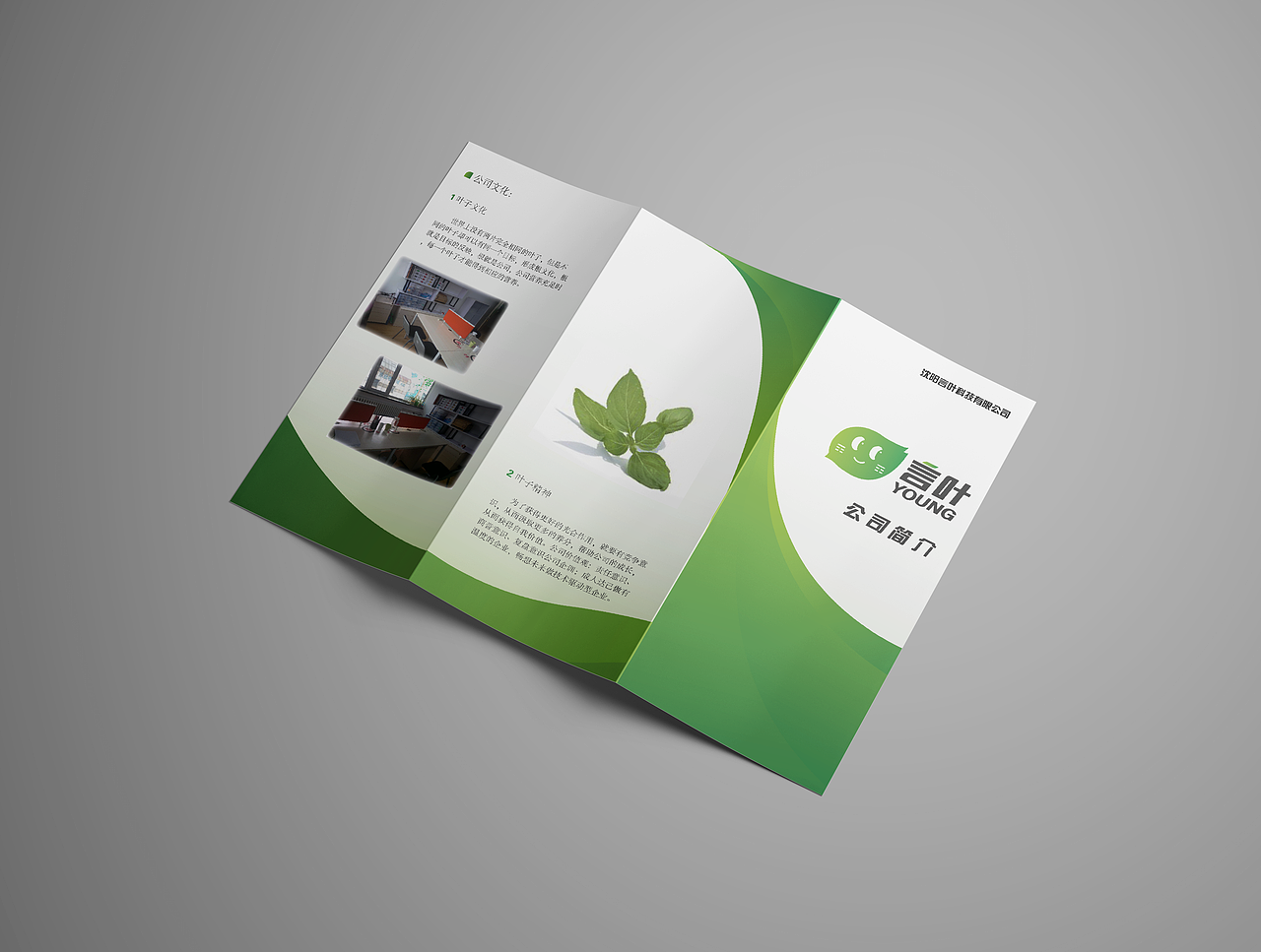 VI设计｜言叶科技有限公司品牌视觉形象设计（图ZMjMwNjY0NzU2） - 品牌 - 站酷设计师ERNO原创素材 - 站酷ZCOOL