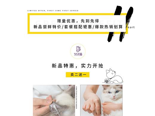 全屏首页猫咪用品猫粮