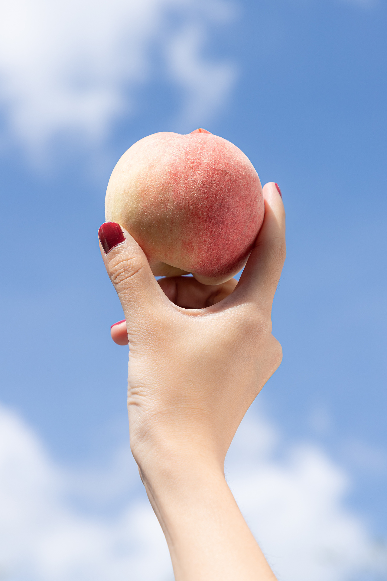 奈雪的茶 水蜜桃系列