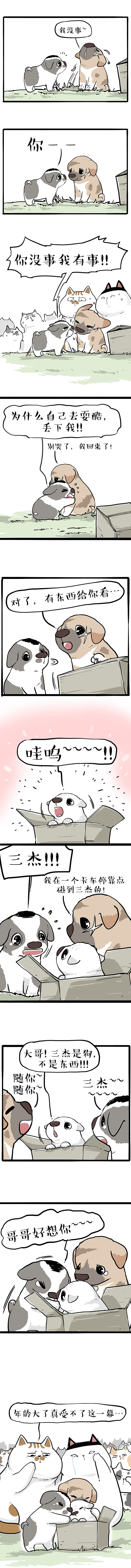 真正在意你的人，不会丢！（图ZMjYxMjIzNjE2） - 中/长篇漫画 - 站酷设计师吾皇的白茶原创素材 - 站酷ZCOOL