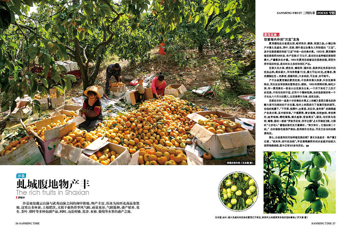《时代三明》杂志2014年第6期三明的果-源艺设计（图ZNzgzMTIzNzY=） - 书籍/画册 - 站酷设计师郑源华原创素材 - 站酷ZCOOL