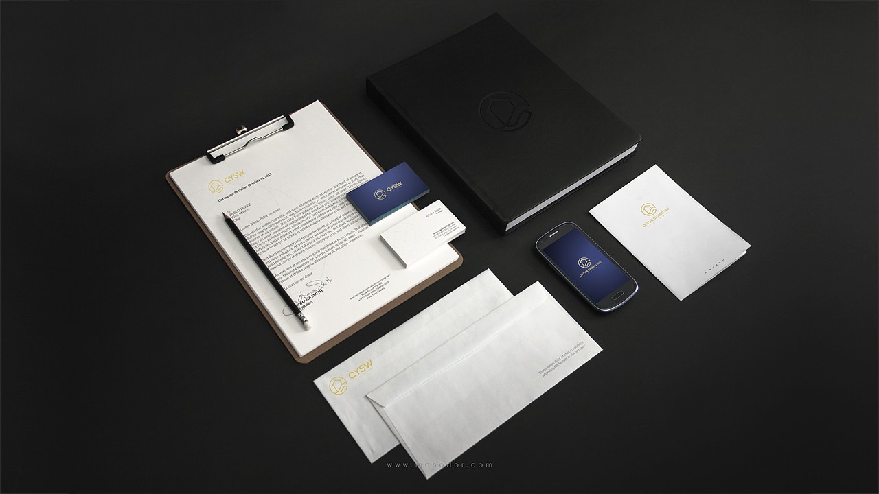 商务公司 高端VI logo设计