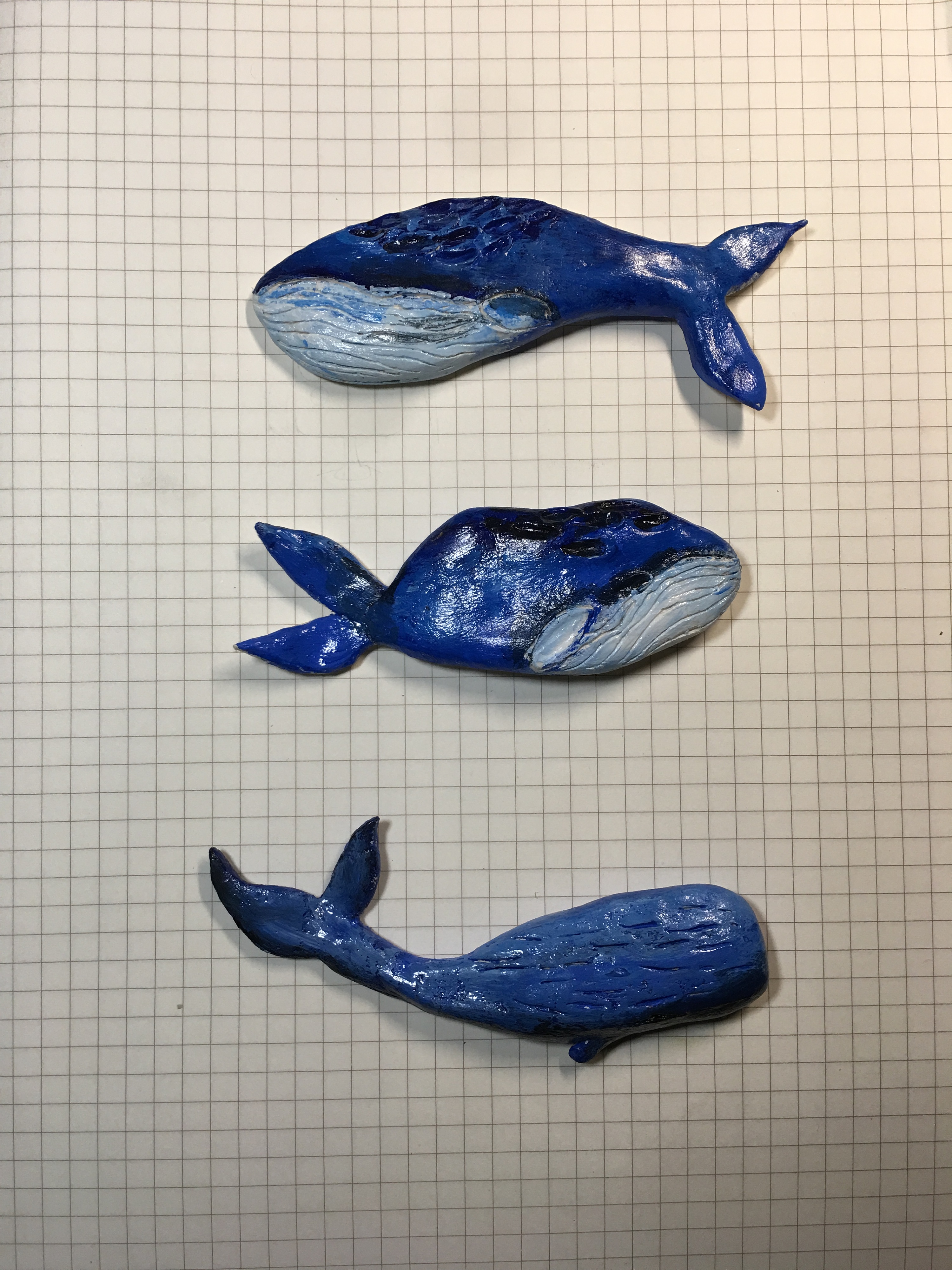 彩泥鲸鱼制作过程图片