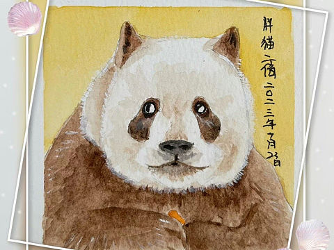 鸿七公——大熊猫七仔