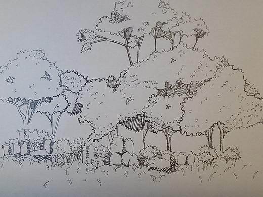 景观绿植